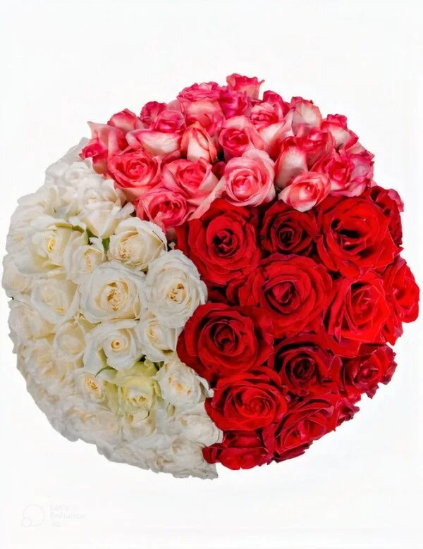 Jardin de Roses
