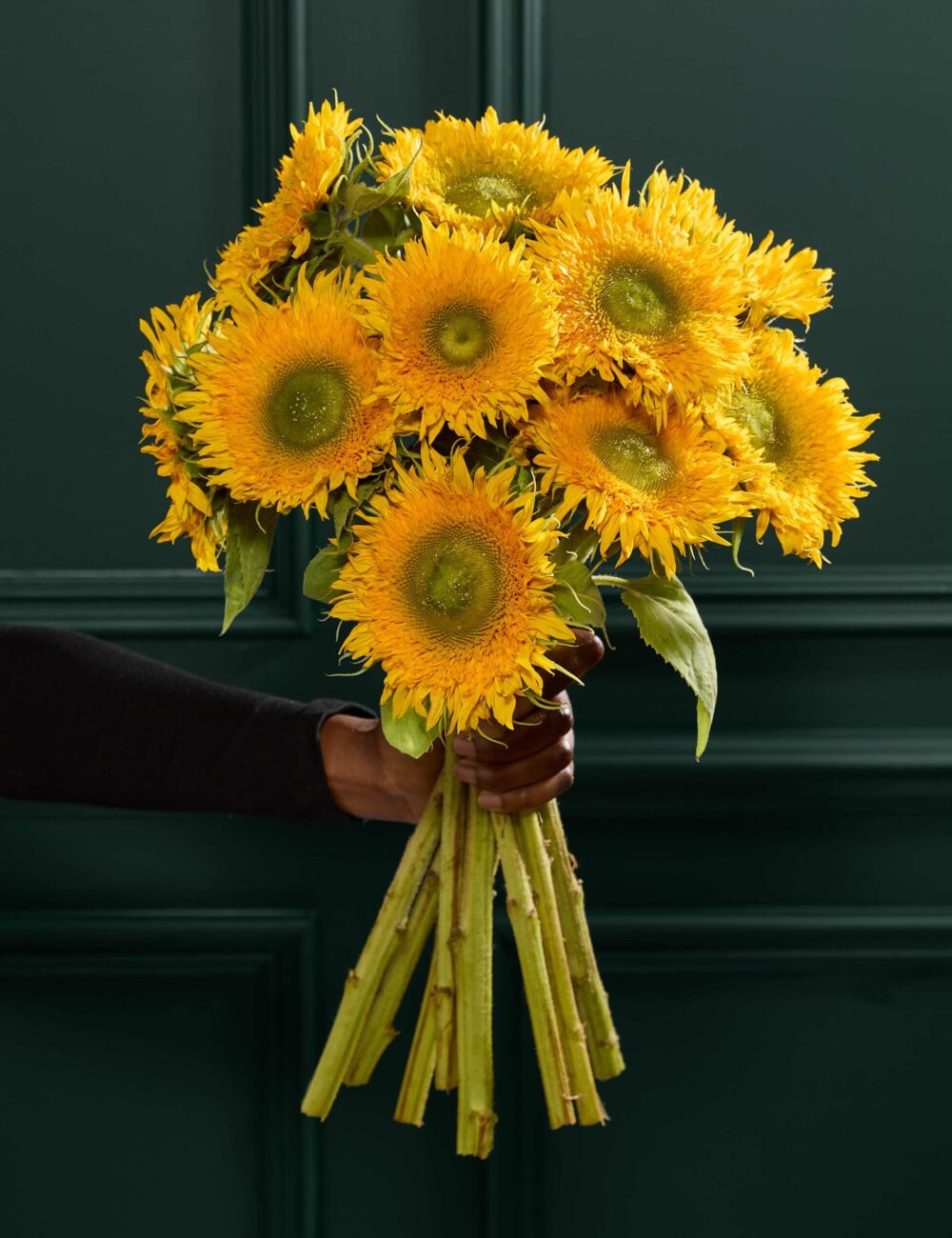 Bear Sunflowers Bouquet