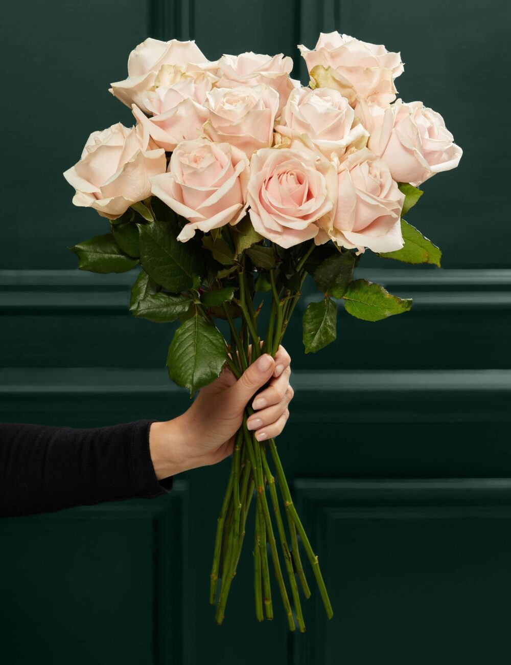 Pink Sweet Avalanche Rose Bouquet